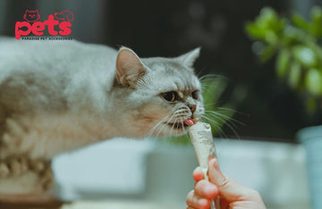 Cat Treats in a Tube: The Convenient Way to Pamper Your Feline Friend