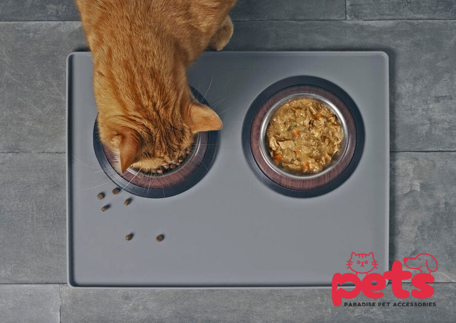 How Often Should You Feed Your Cat Wet Food? A Quick Guide