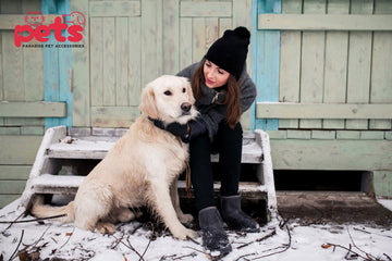 How to Tell if Your Dog Is Cold: Signs Your Pup Needs Extra Warmth