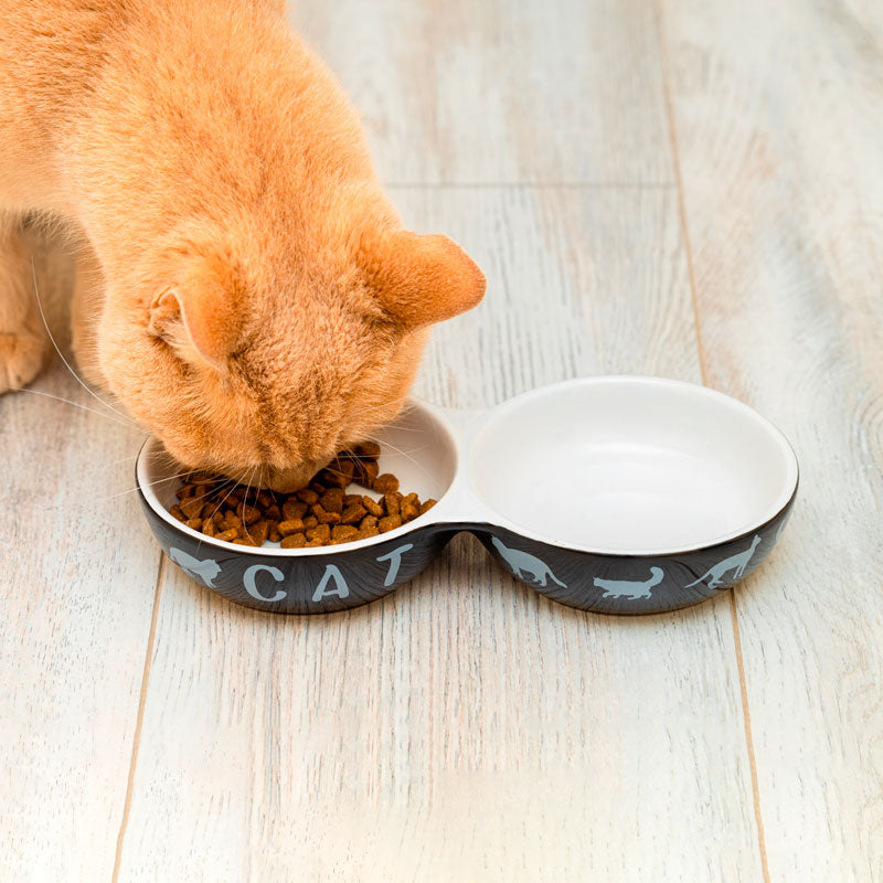 Pet Bowls