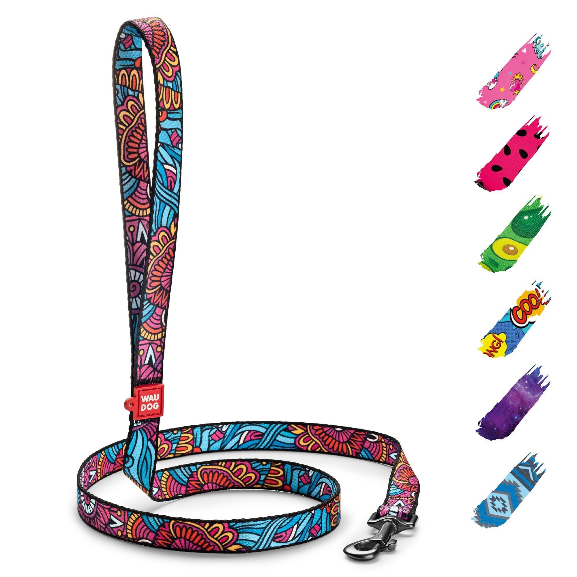 Nylon Dog Leash for Small and Medium Dogs - 4 Ft Strong