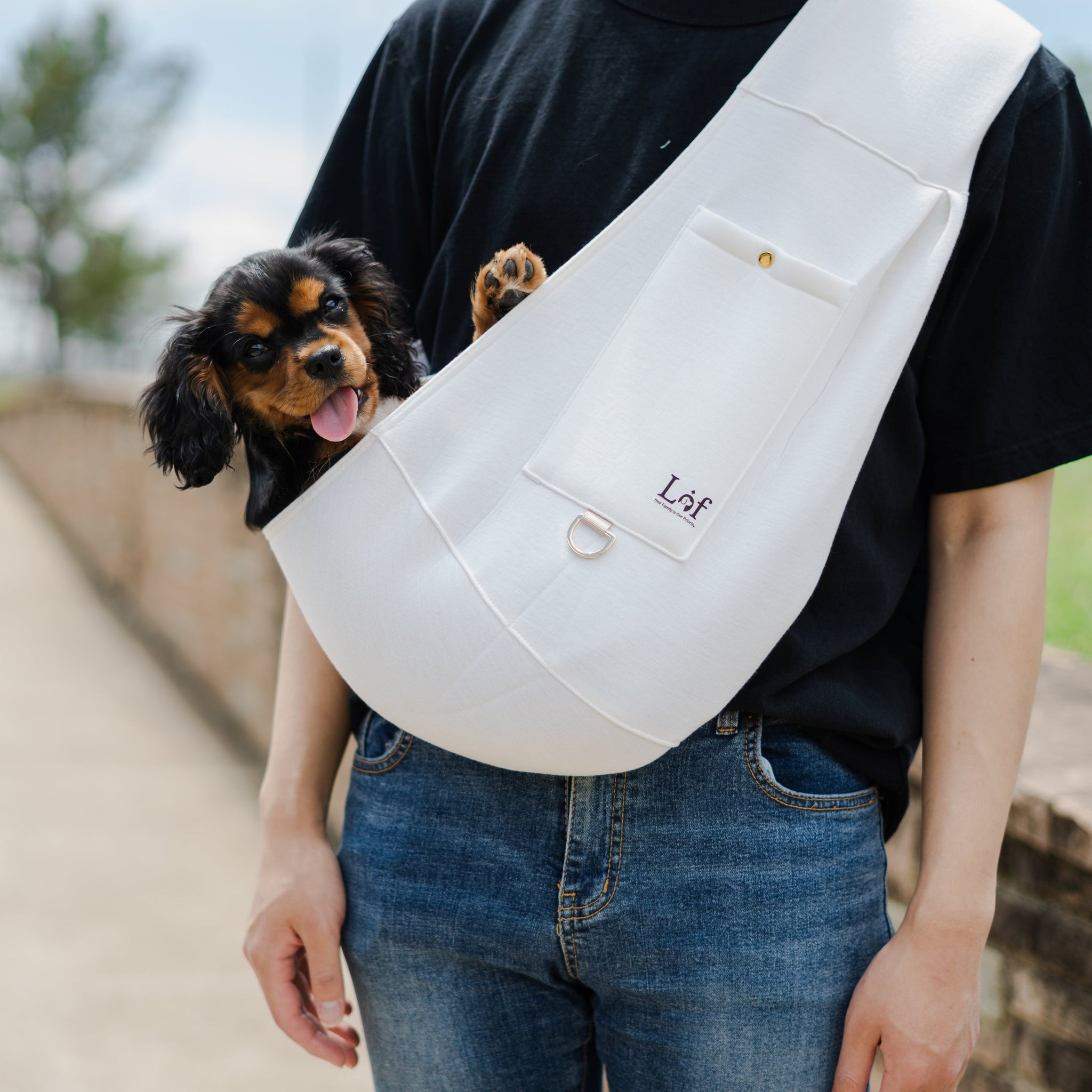 Sling Carrier - Secure & Stylish Travel for Small Pets