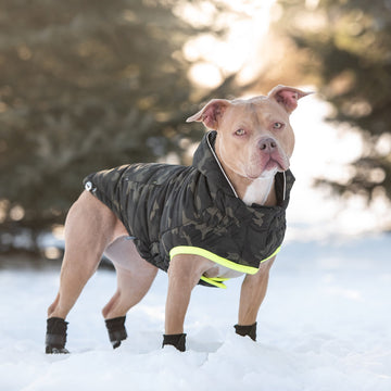 Eco-friendly Recycled Parka - Camouflage Dog Coat