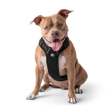 Pet Travel Harness - Black