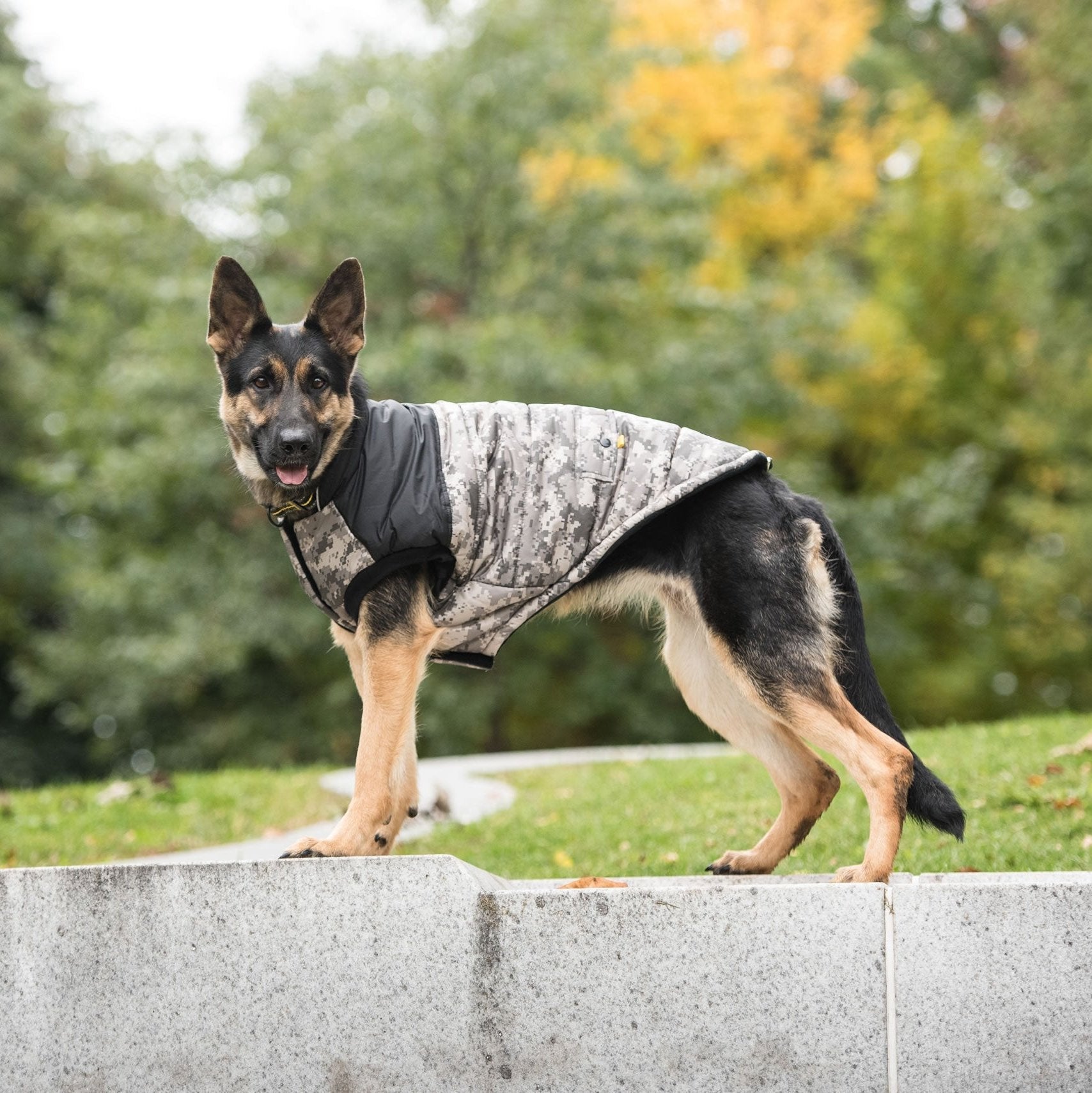 US Army Dog Jacket - Camo