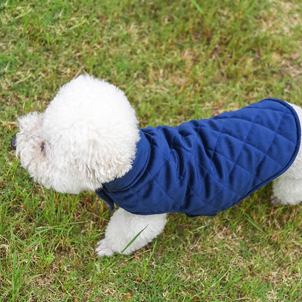 Dogs Winter Warm Vest - Cozy Cotton Pet Jacket